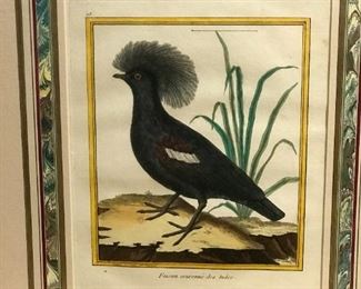 Martinet - 1775 Engraving, Hand Colored - $150