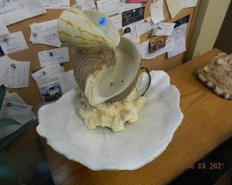 shell water fountain