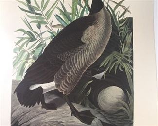 1947 Audubon Calendar with 4 Great Prints Never Hung