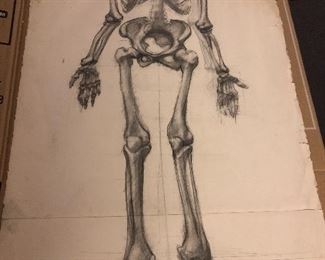 Skeletal Drawing