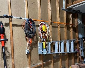 great branch trimmer, ladder