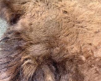 Close up of Buffalo Hide/Robe
Condition Excellent 