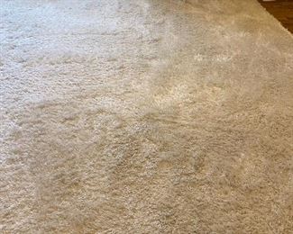 White Shag Rug