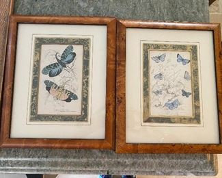 Pair of framed Art