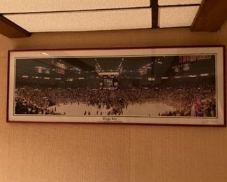 . . . a great panorama -- go Wings!