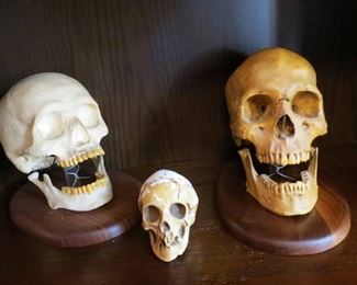 Skulls.. Skull Duggery