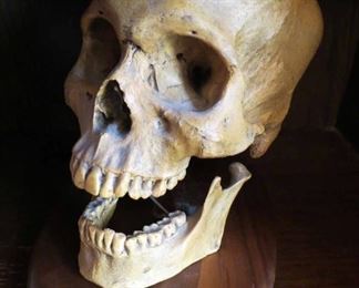 Skulls.. Skull Duggery