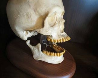 Skulls.. Skull Duggery