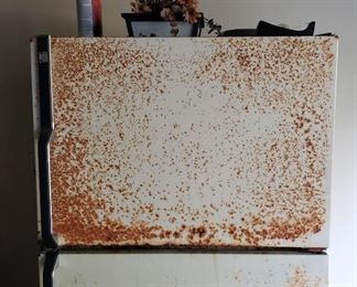 Needs TLC garage refrig/freezer. Works great!