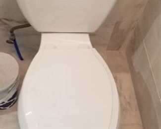Kohler toilet