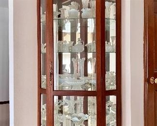 Curio Cabinet / Display Case