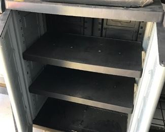 #161	plastic  cabinet with 2 doors 2 shelves 27x16x35	 $30.00 	
