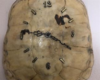 Real turtle shell wall clock