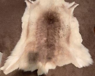 Authentic Animal Hide