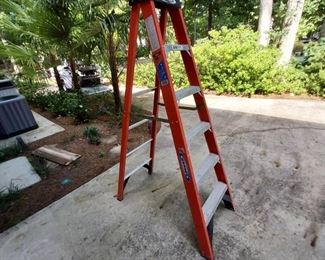 Werner 300lb Capacity Step Ladder