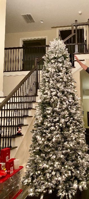 Bought in 2020… 13’ Balsalm Hill Christmas Tree