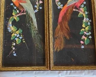 1930's Feathered Bird Art Pictures