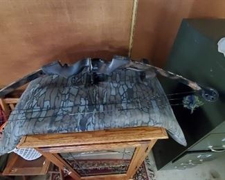 Compound bow w/case.