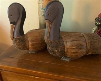 very guilty pelicans