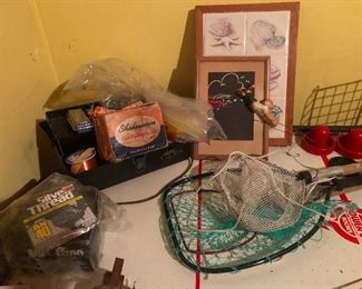 Cher's colonoscopy results