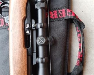 Ruger 10.22 w/ Scope