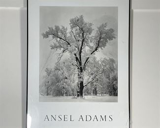 ANSEL ADAMS POSTER | Black and white photograph of a snowy tree, in a simple thin black frame; overall 36 x 26 in. [glass cracked]