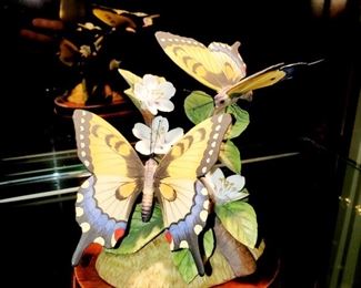 Porcelain Butterflies, Stephani