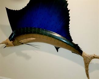 Sail Fish, mounted, taxidermy,  6ft, 11in