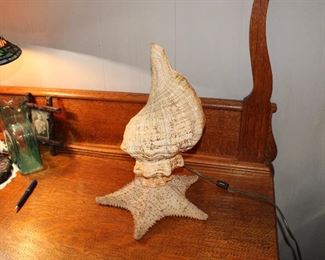 Large shell and starfish lamp!  There is also a large collection of seashells!