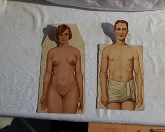 Rare 1930's ephemera, male and female folding paper anatomy booklets