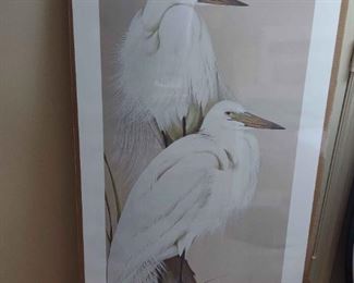 Art Lamay White And Wild Print