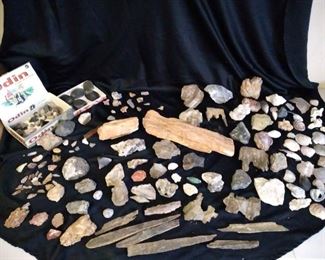 Rocks, Petrified Wood, Fossils, Minerals, And Shells