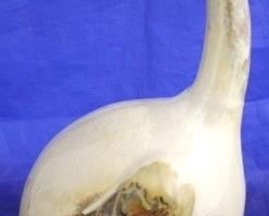1020 - Art pottery goose 12 3/4" tall
