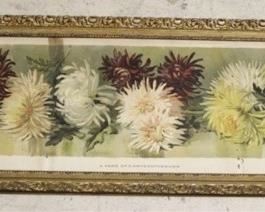 1114 - Framed chrysanthemums print 38 x 12 1/2
