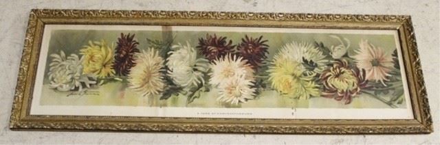 1114 - Framed chrysanthemums print 38 x 12 1/2
