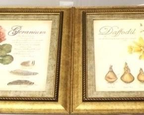 5013 - Geranium & Daffodil framed prints 17 x 16
