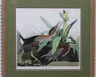 9003 - Green Heron by John J Audubon 26 x 27
