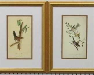 9007 - 2 Birds by John J Audubon 13 x 16 1/2
