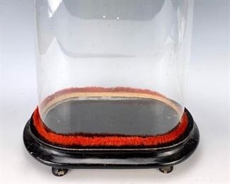 Antique Glass Display Dome C.1880 - Lot 191