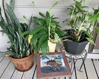 3 Planters and Plant Stands