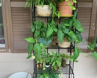 Patio Planter Shelf with Plants
