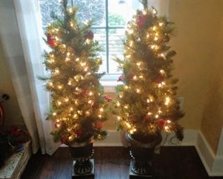 Entry way Christmas trees.