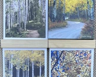 Annette Kennedy Artist Photographic Prints Including Blue Aspens Signed By Artist From Longmont, Colorado
