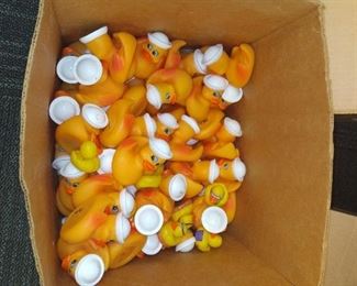 Rubber Ducky Race Anyone?!?