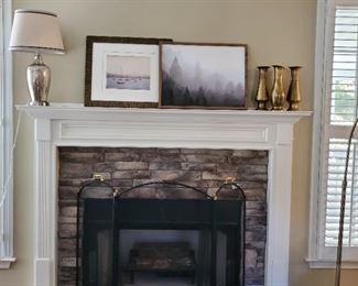 Fireplace Screen and Decor