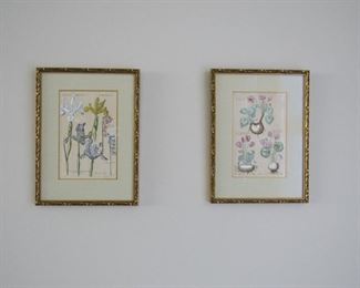 Antique botanical prints