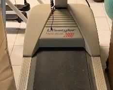 Life Styler Treadmill