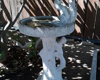 bird bath 