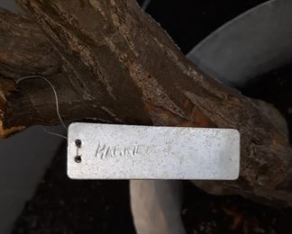 tags on some of the plants