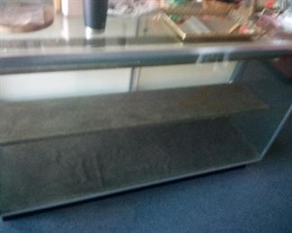 52. ANOTHER GLASS DISPLAY CASE $